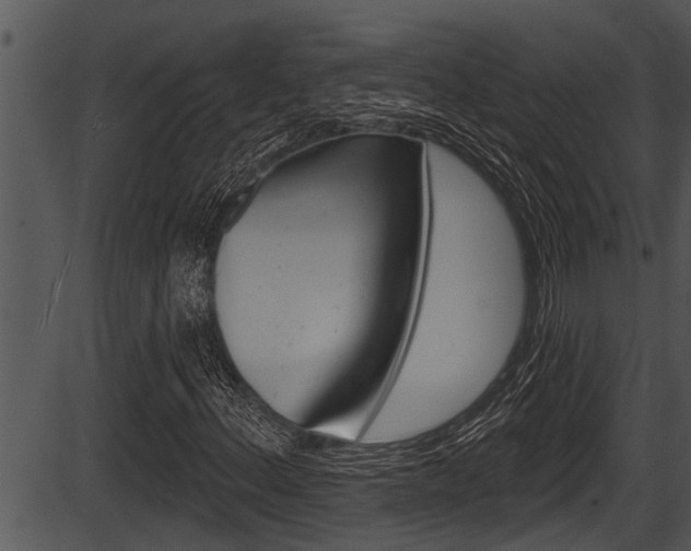 X0000087531156200704270850