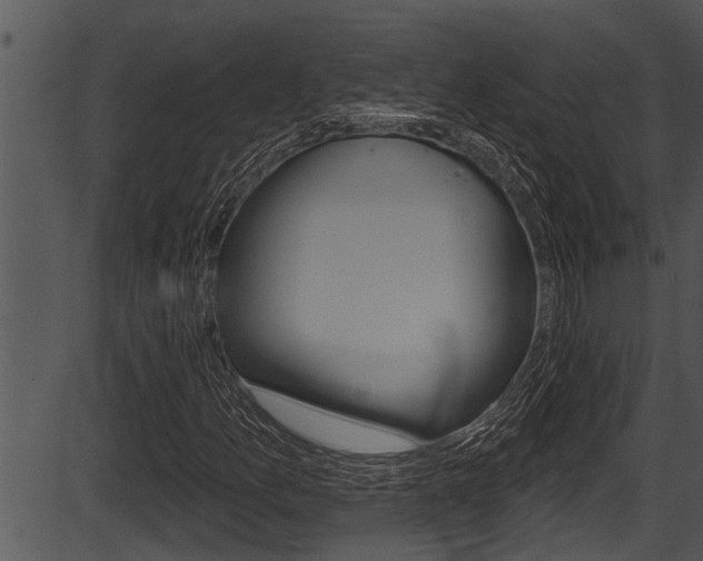 X0000087531157200704270850