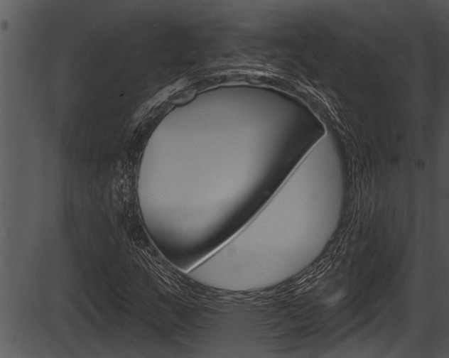 X0000087531159200704270850