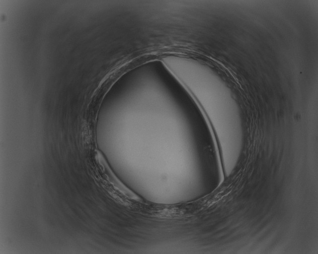 X0000087531160200704270850