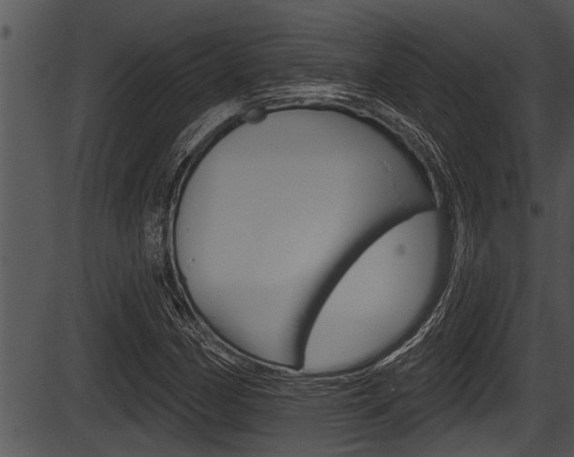X0000087531162200704270850
