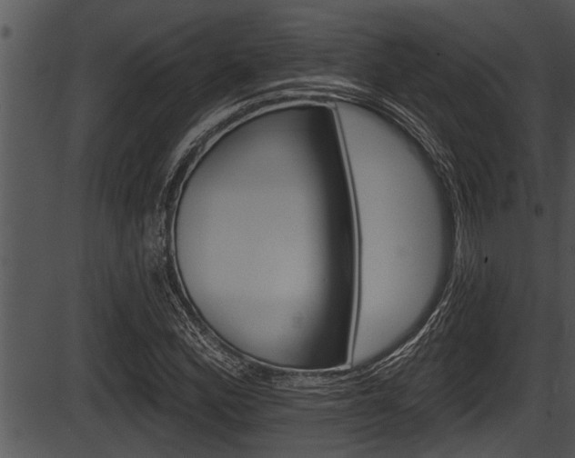 X0000087531164200704270850