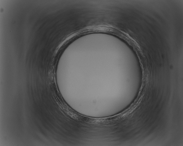 X0000087531166200704270850