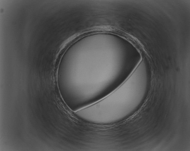 X0000087531168200704270850
