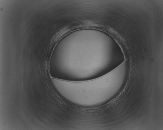 X0000087531169200704270850