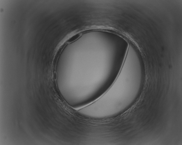 X0000087531173200704270850