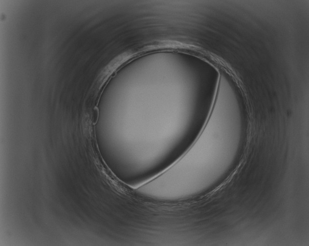 X0000087531177200704270849