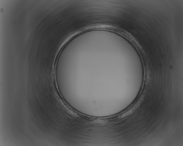 X0000087531178200704270849