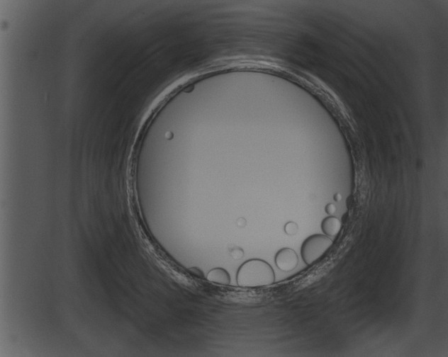 X0000087531182200704270849