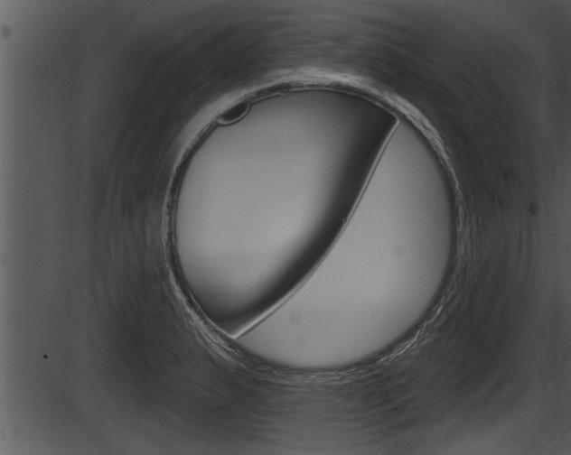 X0000087531183200704270849