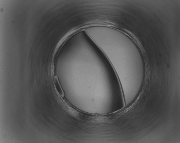 X0000087531188200704270849