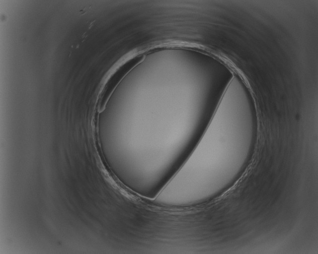 X0000087531189200704270849