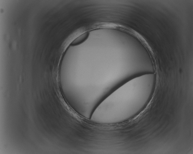 X0000087531194200704270849