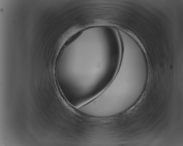X0000087531197200704270849