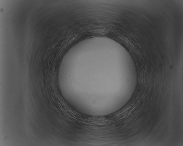 X0000087531201200704270848
