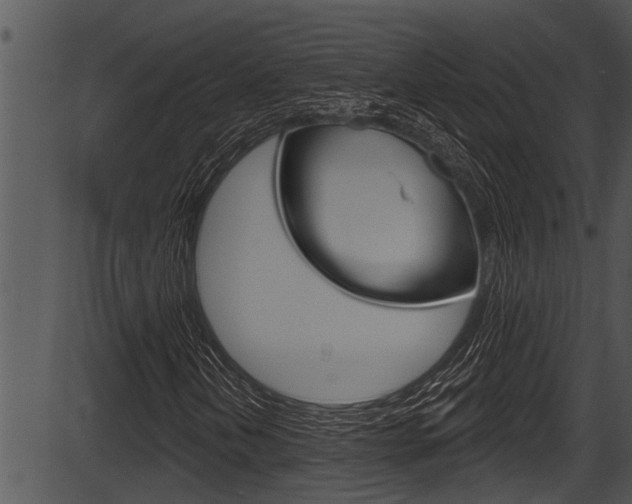 X0000087531202200704270848