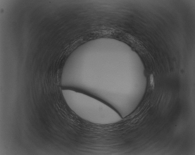 X0000087531203200704270848