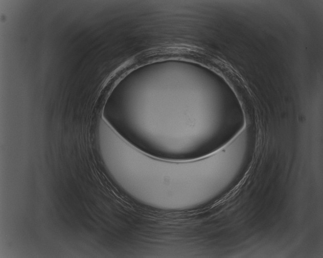 X0000087531210200704270848