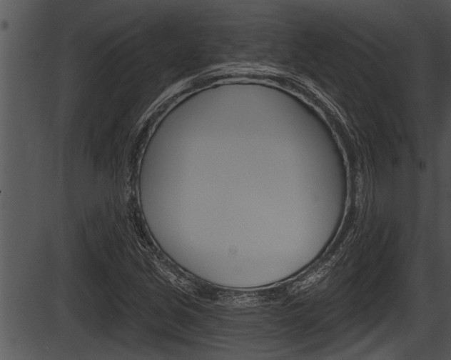 X0000087531213200704270848