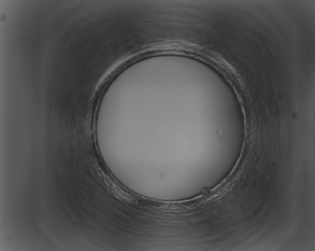 X0000087531216200704270849