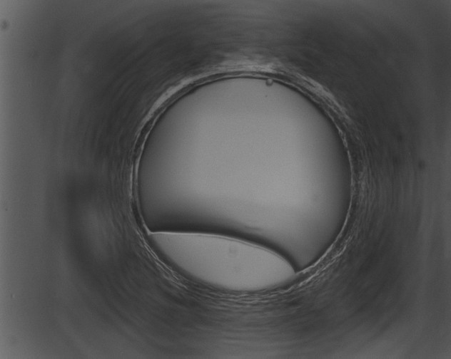 X0000087531220200704270849