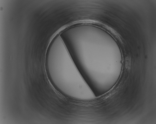 X0000087531229200704270849