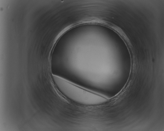 X0000087531242200704270849