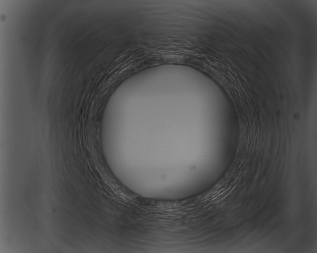 X0000087531249200704270848