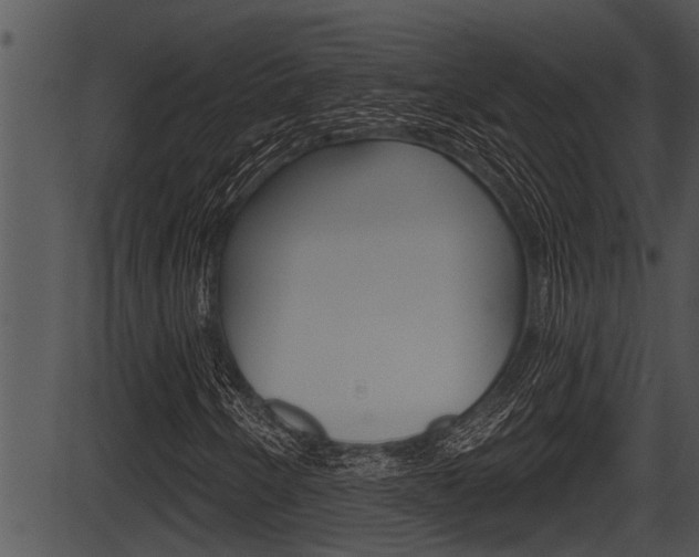 X0000087531250200704270848