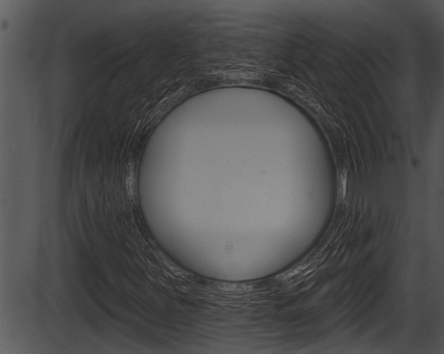 X0000087531251200704270848