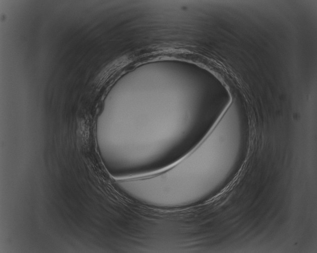 X0000087531257200704270848