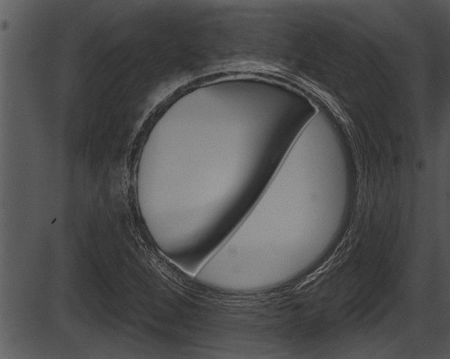 X0000087531264200704270848