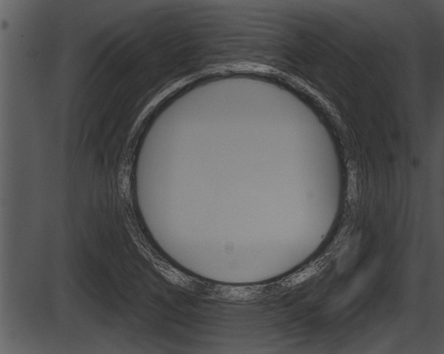 X0000087531266200704270848