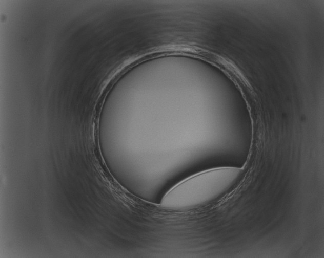 X0000087531268200704270848