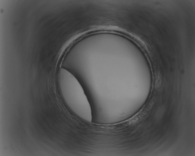 X0000087531271200704270848