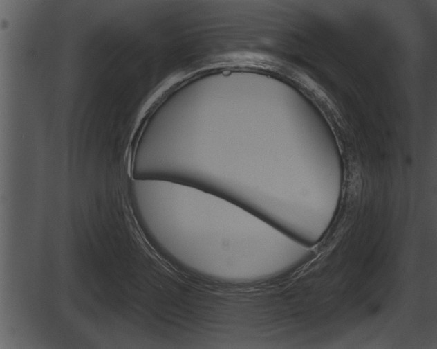 X0000087531275200704270848
