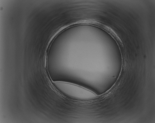 X0000087531276200704270848