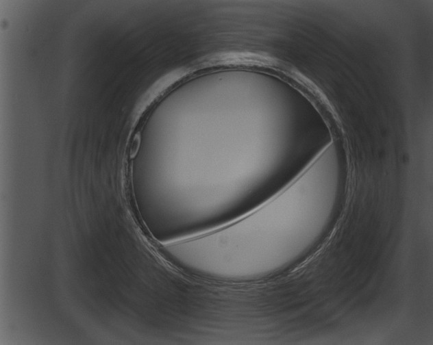 X0000087531277200704270848