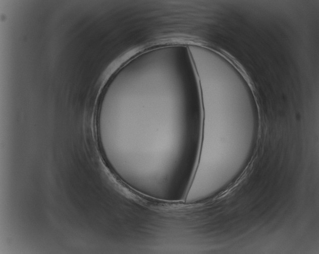 X0000087531293200704270848
