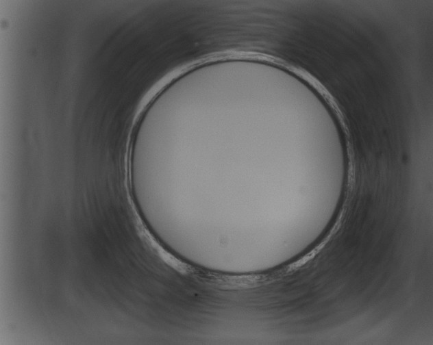 X0000087531294200704270848