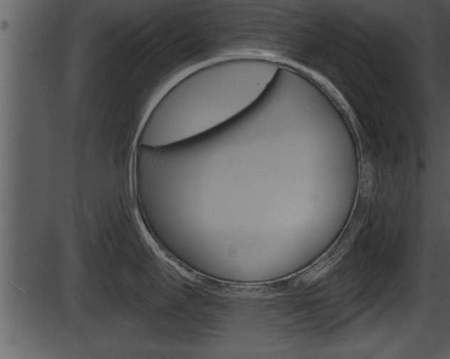 X0000087531295200704270848