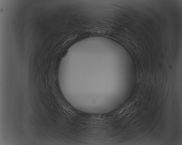 X0000087531297200704270847