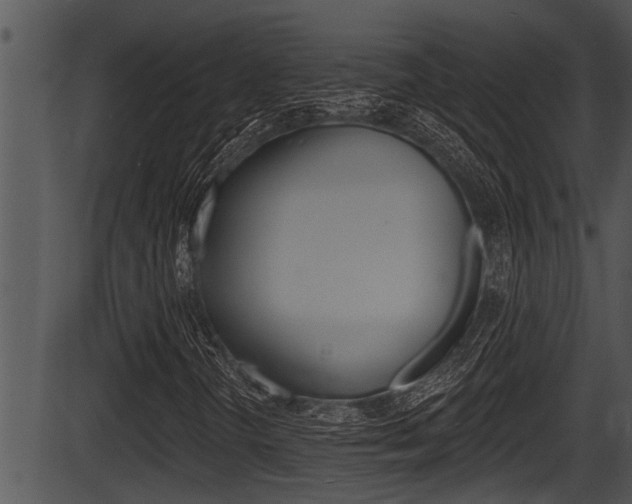 X0000087531298200704270847
