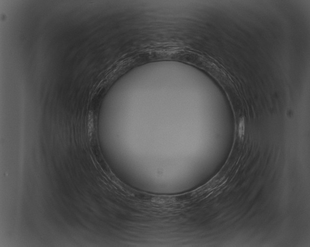 X0000087531299200704270847