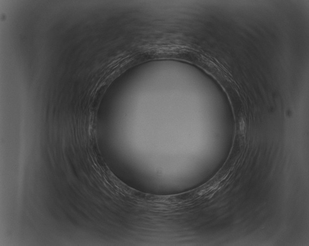 X0000087531300200704270847