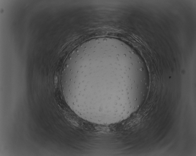 X0000087531302200704270847