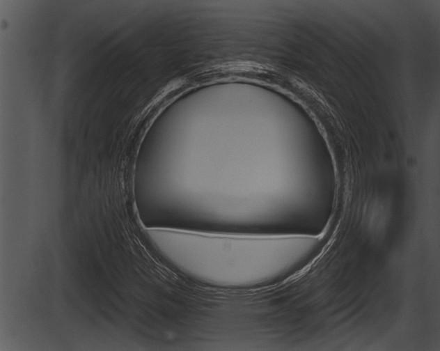 X0000087531305200704270847