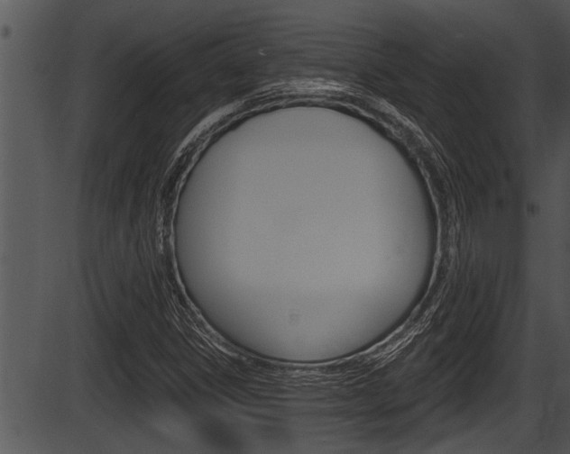 X0000087531306200704270847