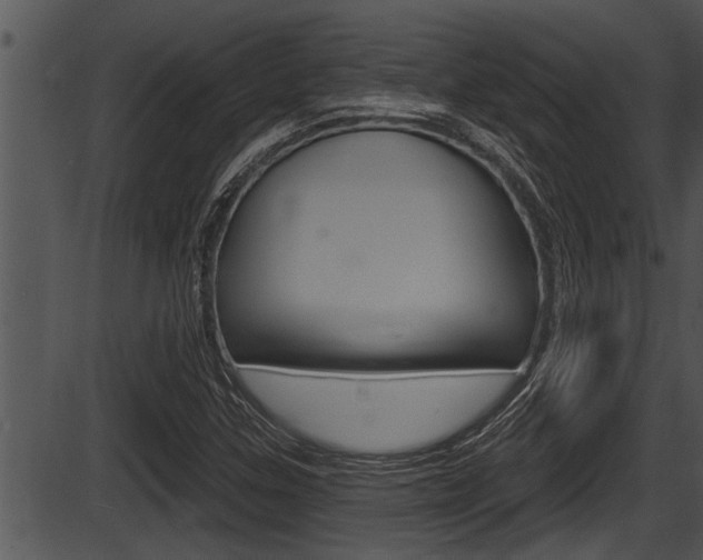 X0000087531307200704270847
