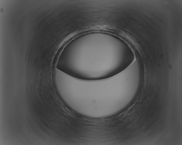 X0000087531308200704270847
